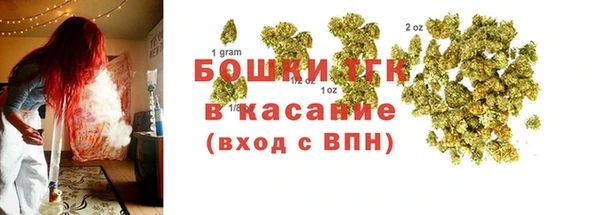 ПСИЛОЦИБИНОВЫЕ ГРИБЫ Лихославль