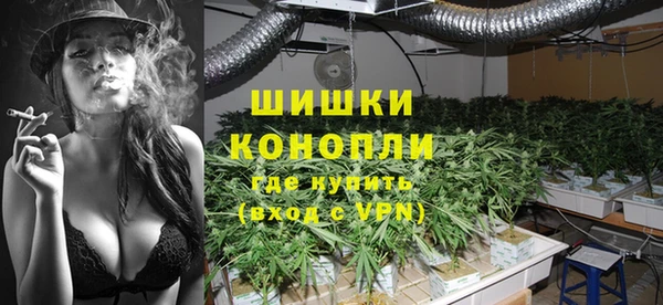 ПСИЛОЦИБИНОВЫЕ ГРИБЫ Лихославль