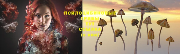 альфа пвп Лиски