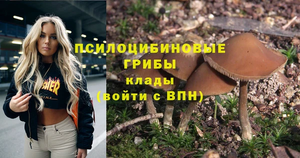 прущий лед Липки