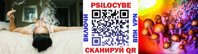 где найти наркотики Фокино Галлюциногенные грибы Psilocybine cubensis